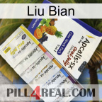 Liu Bian 11